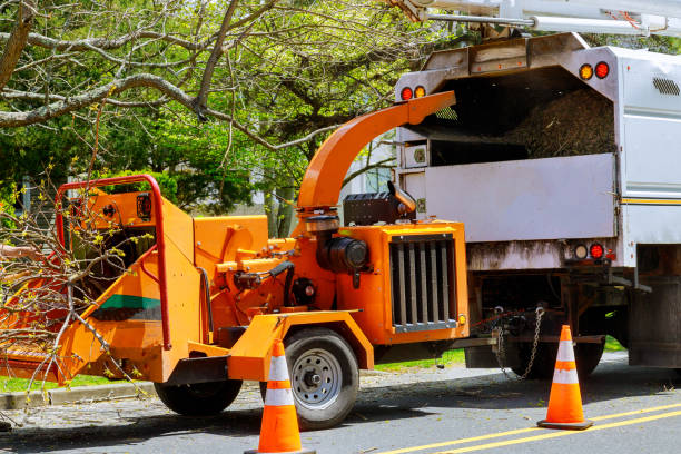 Reliable Rochester, IN Tree Services Solutions